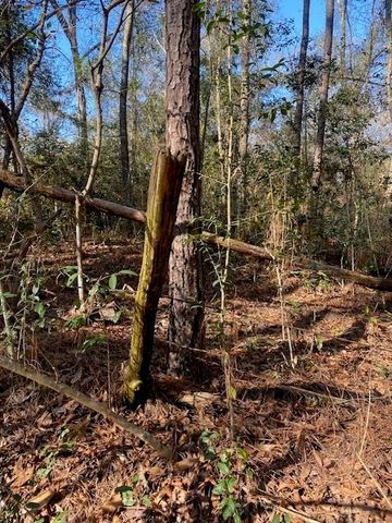 TBD High Creek Lane, Willis, TX 77378