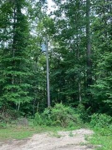 TBD High Creek Lane, Willis, TX 77378