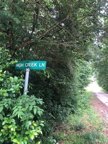 TBD High Creek Lane, Willis, TX 77378