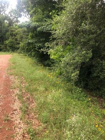 TBD High Creek Lane, Willis, TX 77378