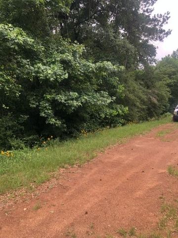 TBD High Creek Lane, Willis, TX 77378