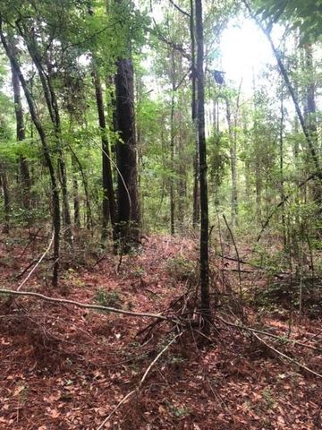 TBD High Creek Lane, Willis, TX 77378