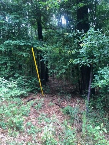 TBD High Creek Lane, Willis, TX 77378