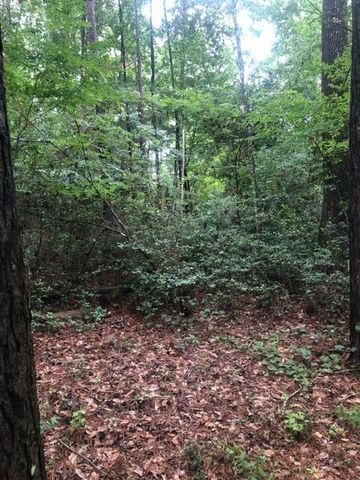 TBD High Creek Lane, Willis, TX 77378