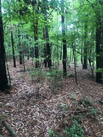 TBD High Creek Lane, Willis, TX 77378