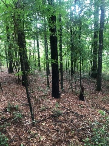 TBD High Creek Lane, Willis, TX 77378