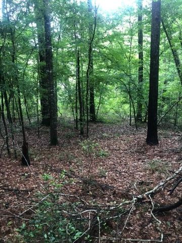 TBD High Creek Lane, Willis, TX 77378