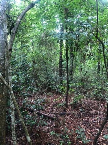 TBD High Creek Lane, Willis, TX 77378