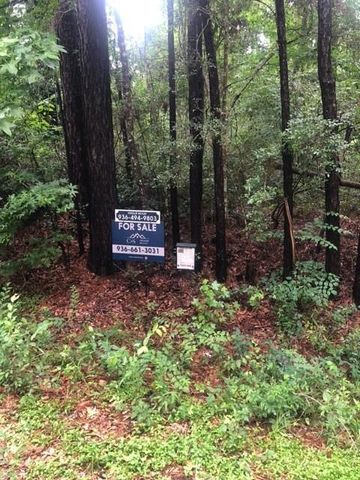 TBD High Creek Lane, Willis, TX 77378