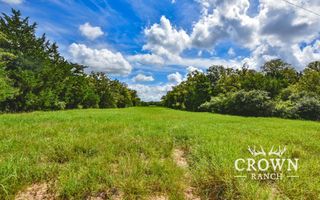 TBD FM 908 (+/-657 acres), Caldwell, TX 77836