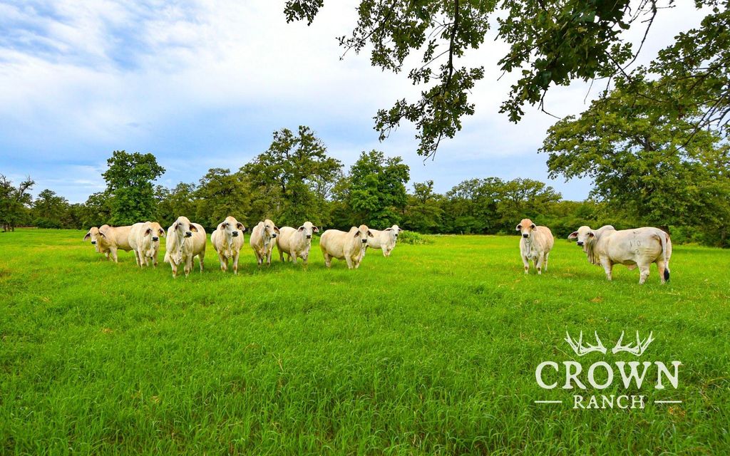 TBD FM 908 (+/-657 acres), Caldwell, TX 77836