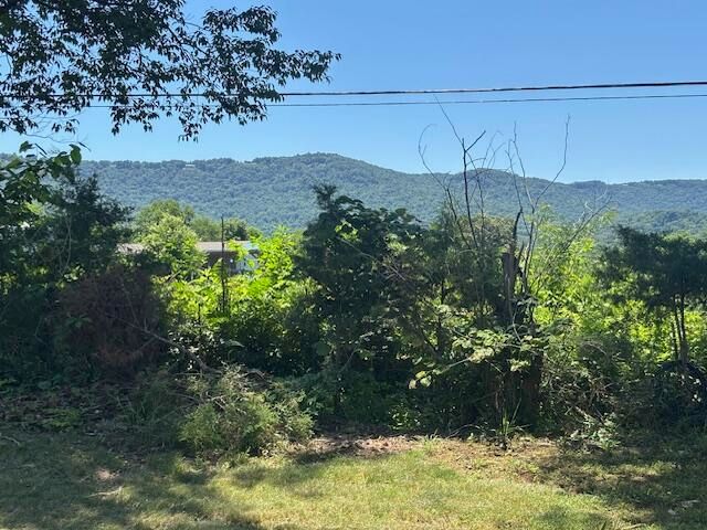 194 Patton Road, Pikeville, TN 37367