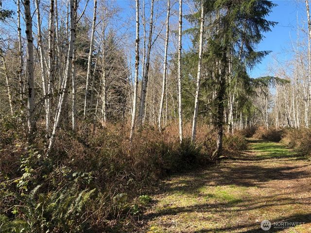 0 Blacktail Court, Quilcene, WA 98376