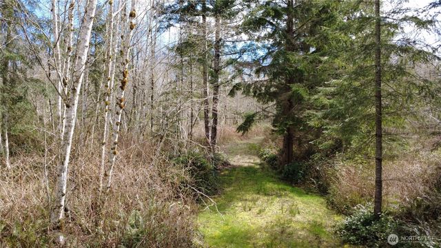 0 Blacktail Court, Quilcene, WA 98376