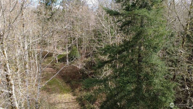 0 Blacktail Court, Quilcene, WA 98376