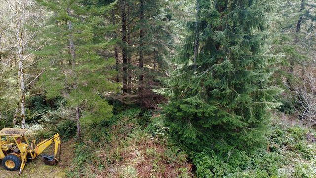 0 Blacktail Court, Quilcene, WA 98376
