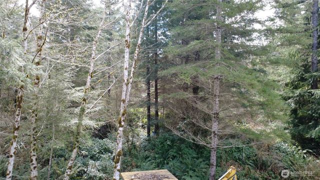0 Blacktail Court, Quilcene, WA 98376