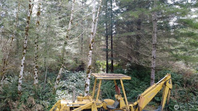 0 Blacktail Court, Quilcene, WA 98376