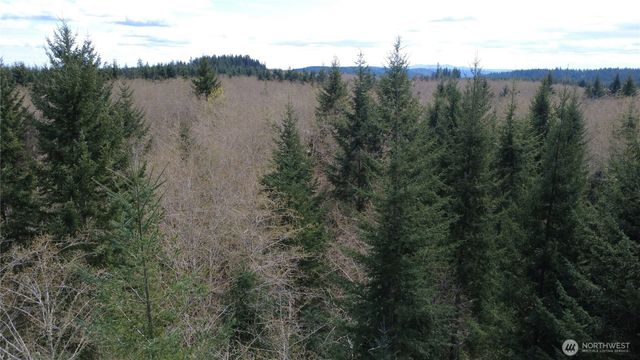 0 Blacktail Court, Quilcene, WA 98376