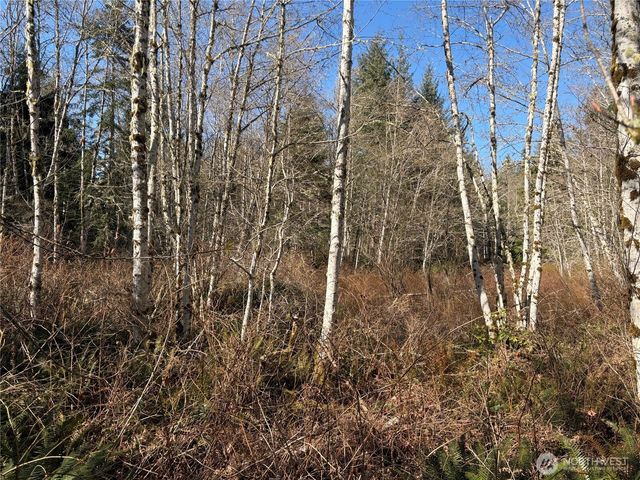 0 Blacktail Court, Quilcene, WA 98376