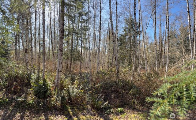 0 Blacktail Court, Quilcene, WA 98376