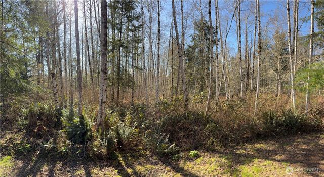 0 Blacktail Court, Quilcene, WA 98376