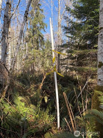 0 Blacktail Court, Quilcene, WA 98376