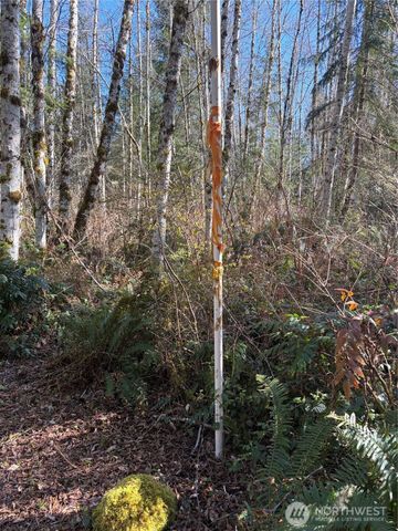 0 Blacktail Court, Quilcene, WA 98376