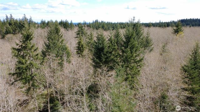 0 Blacktail Court, Quilcene, WA 98376
