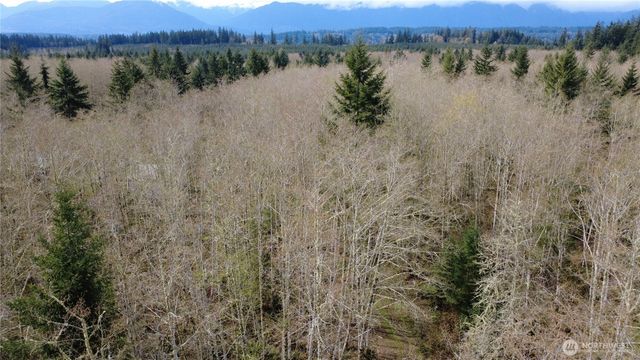 0 Blacktail Court, Quilcene, WA 98376