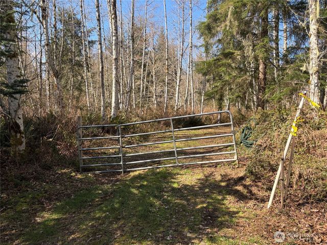 0 Blacktail Court, Quilcene, WA 98376
