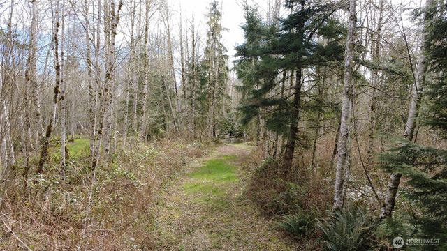 0 Blacktail Court, Quilcene, WA 98376