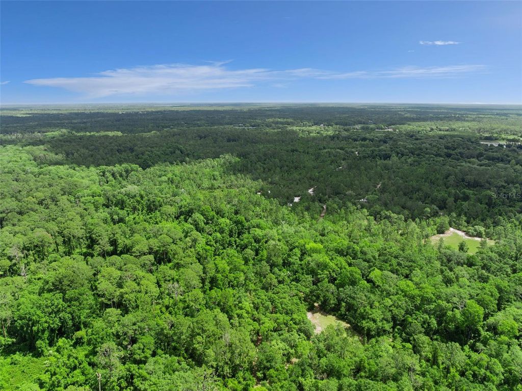Image 37 of property listing at 1140 BUCKLES ROAD, Pierson, FL 32180