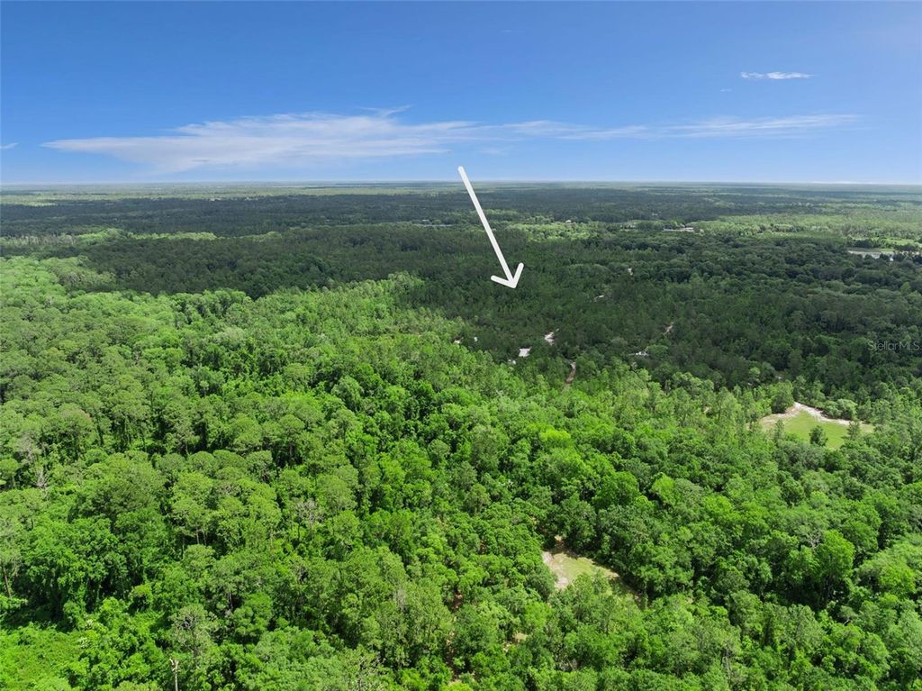 Image 38 of property listing at 1140 BUCKLES ROAD, Pierson, FL 32180