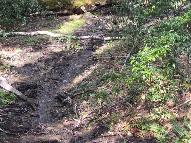 1063 Wool Mt Road, Zenia, CA 95595