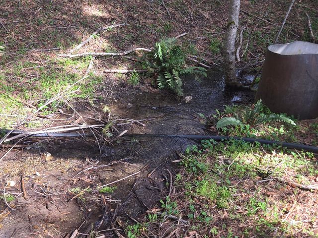 1063 Wool Mt Road, Zenia, CA 95595