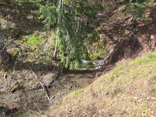 1063 Wool Mt Road, Zenia, CA 95595