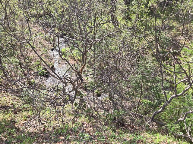 1063 Wool Mt Road, Zenia, CA 95595