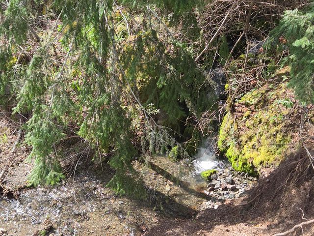 1063 Wool Mt Road, Zenia, CA 95595