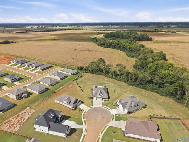 158 Nuckolls Lane, Meridianville, AL 35759