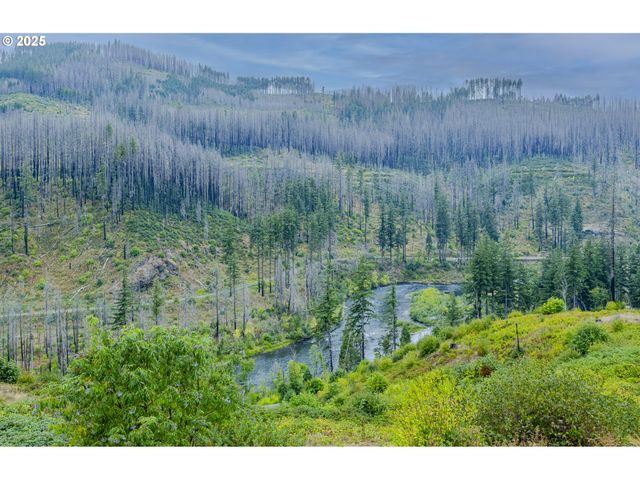 47555 MCKENZIE Hwy, Vida, OR 97488