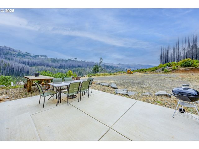 47555 MCKENZIE Hwy, Vida, OR 97488