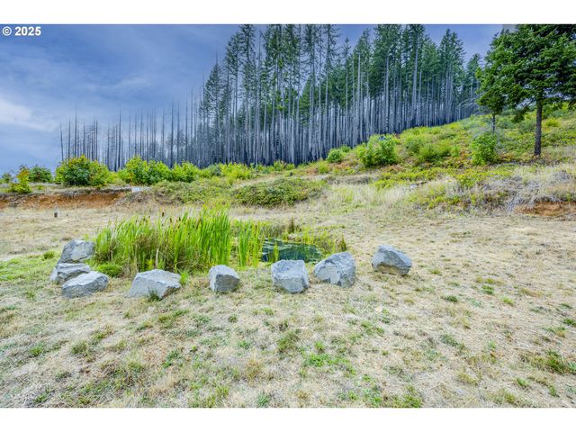 47555 MCKENZIE Hwy, Vida, OR 97488