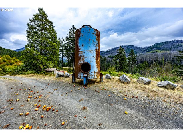 47555 MCKENZIE Hwy, Vida, OR 97488
