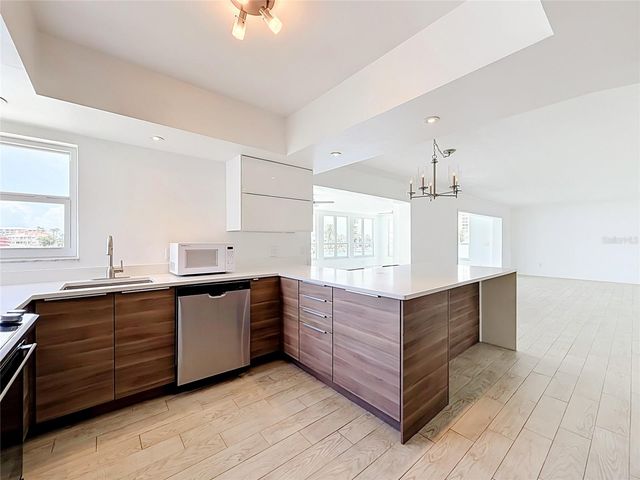 210 DOLPHIN POINT C, Clearwater Beach, FL 33767