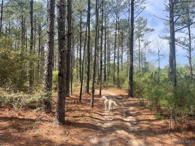 2153 County Road 57 ., Prattville, AL 36067