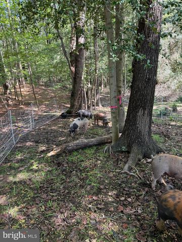 11450 LITTLE COVE POINT RD, Lusby, MD 20657