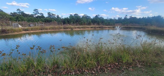 18500 Fm 2090 Road, Conroe, TX 77306