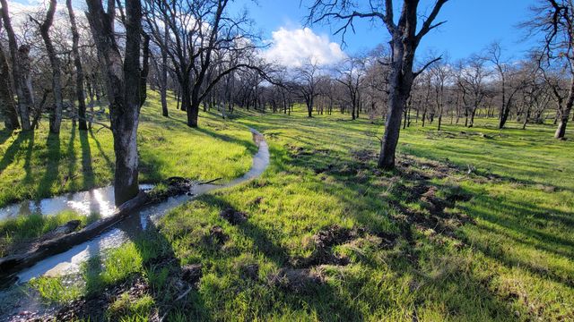 Lot 42 Quail Ridge Road, Cottonwood, CA 96022