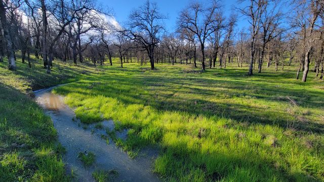 Lot 42 Quail Ridge Road, Cottonwood, CA 96022
